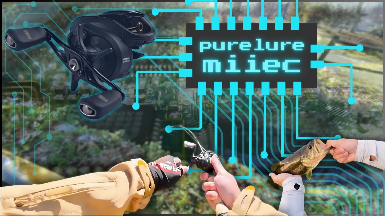 Best BFS Reel for 2025? - Purelure Silver Feather EXA VS Tiny Stream!