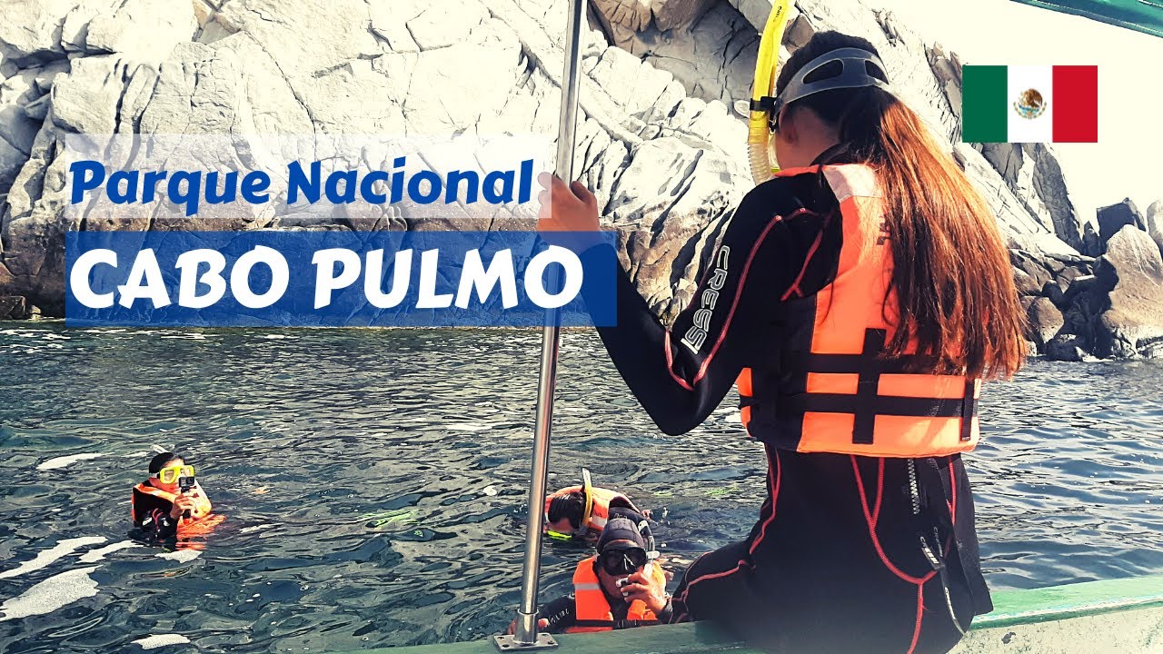 Snorkel en Parque Nacional Cabo Pulmo, BCS-M&eacute;xico