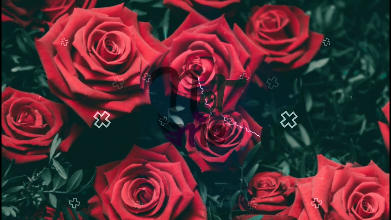 Florin Salam - 7 Trandafiri (Not Me Remix)