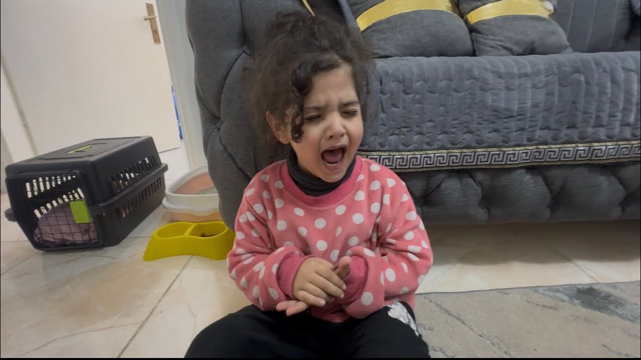 عملت مفاجأه لتوليب بس وتين ليش بكيت 😭😭😭