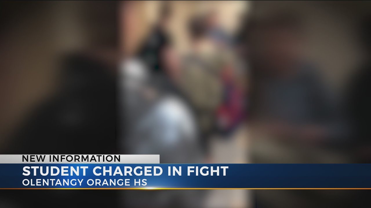 More than a dozen students suspended after brawl at Olentangy Orange High School