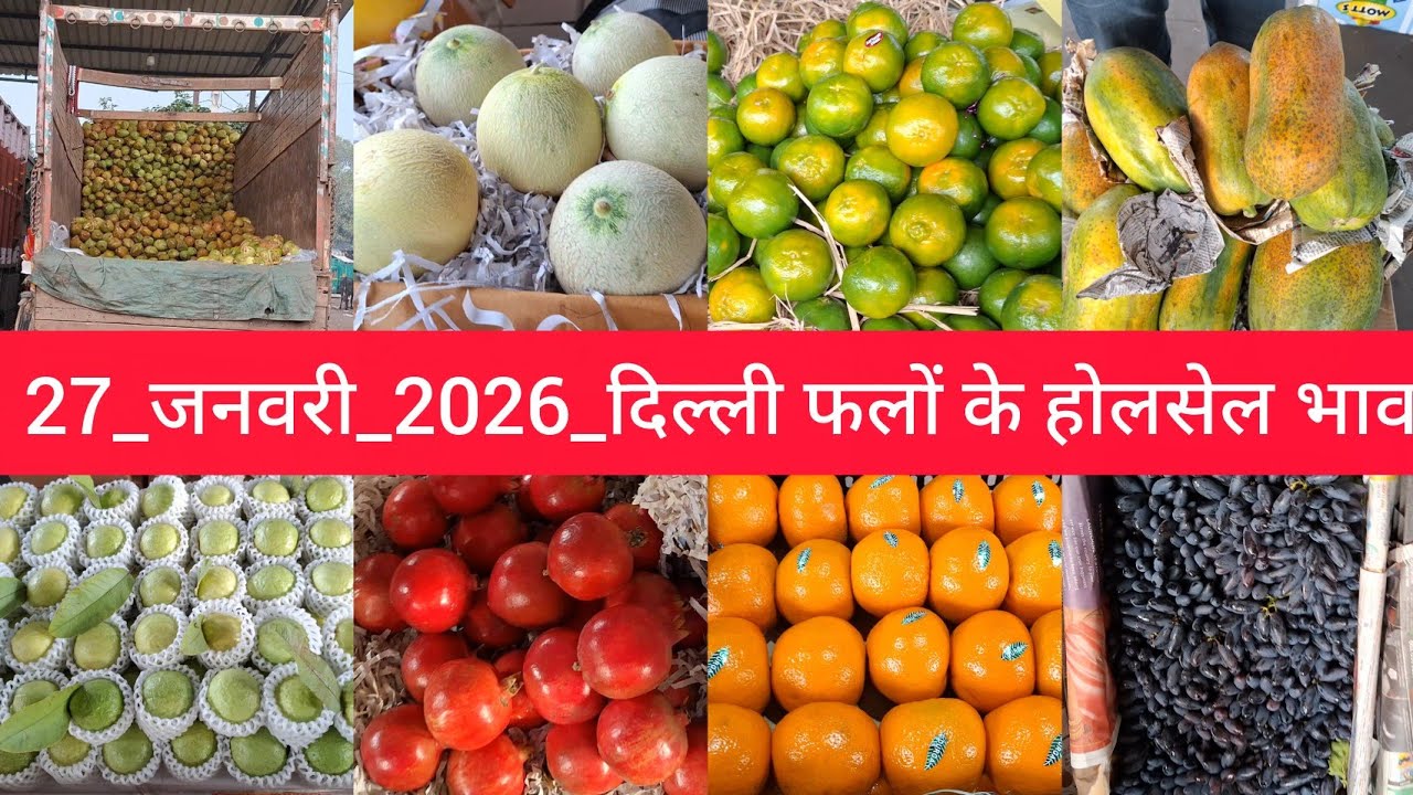 27 January 2026 दिल्ली फलों के भाव Delhi fruit market price APMC fruit market price #fruitmarket