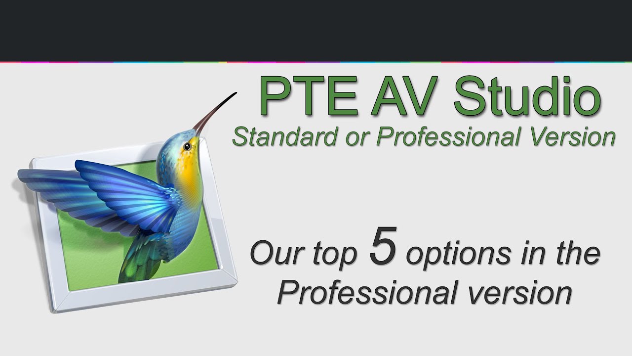 PTE AV Studio - Standard or Pro Version?