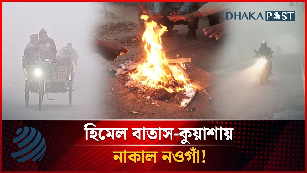 হিমেল বাতাস-কুয়াশায় নাকাল নওগাঁ! | Dense Fog | Naogaon | Dhakapost News