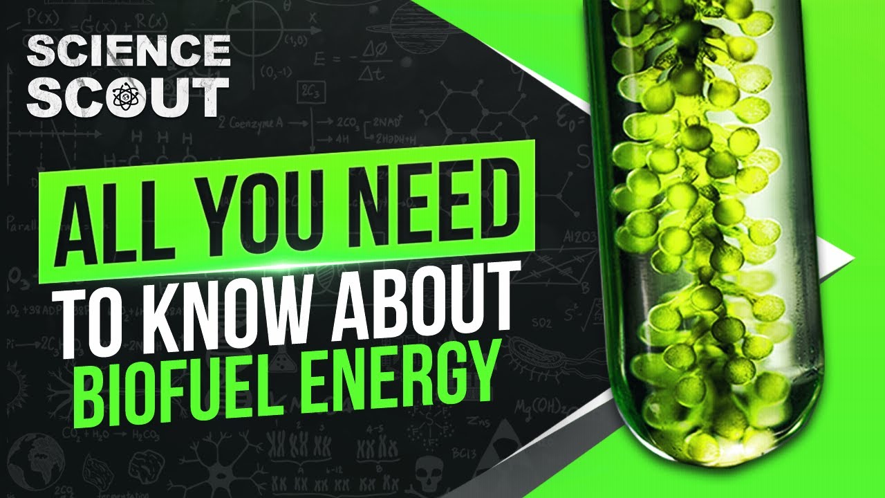 The truth behind organic fuel technology- how synthetic fuel is made?