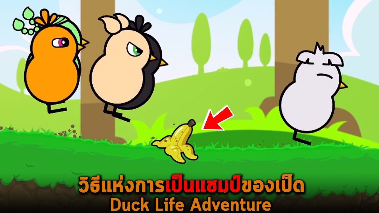 วิธีแห่งการเป็นแชมป์ของเป็ด Duck Life Adventure