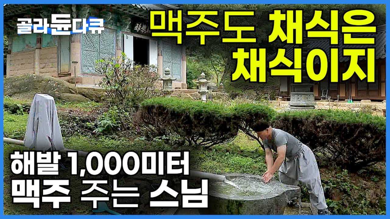 걸어서 꼬박 두 시간 반! 해발 1,000미터 오지 암자 등산하면 맥주 주는 스님이 있다?｜산 좋고 물 좋은 산속에서 수제 맥주 빚는 스님｜속리산 상고암｜한국기행｜#골라듄다큐