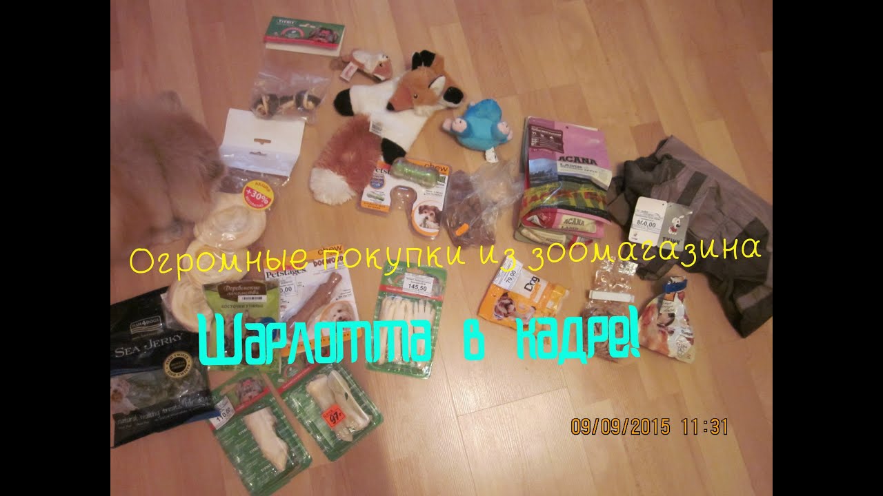 Огромные покупки из зоомагазина