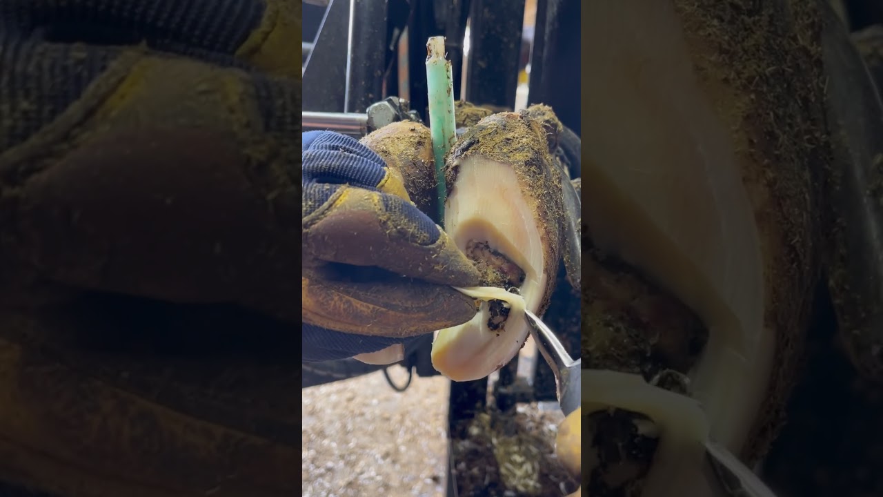 Sometimes you&rsquo;re just so sure&hellip;#shortsfeed #oddlysatisfying #cleaning