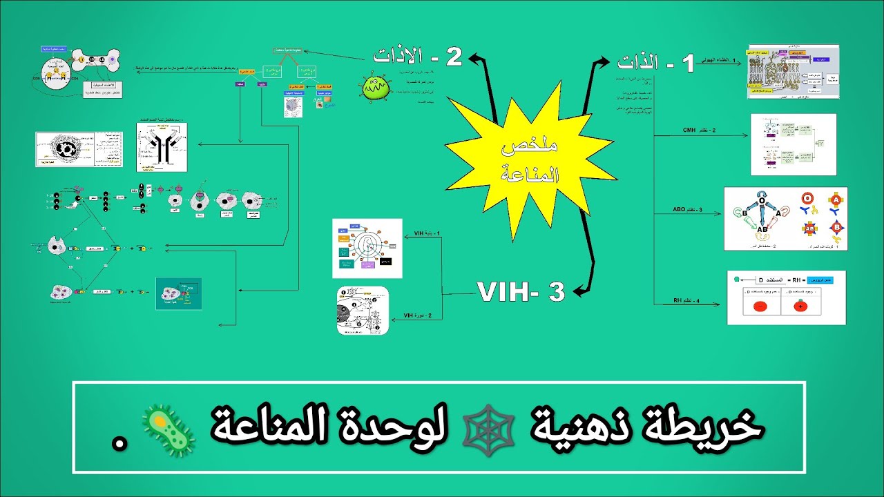 خريطة ذهنية 🕸️ للوحدة 4 : المناعة 😋🦠 .