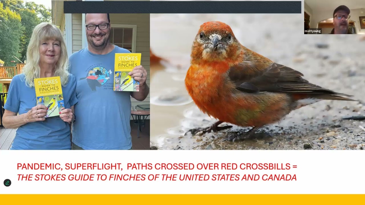 Nature Program Series: Grosbeak Recovery Project & Stokes Guide to Finches with Matt Young