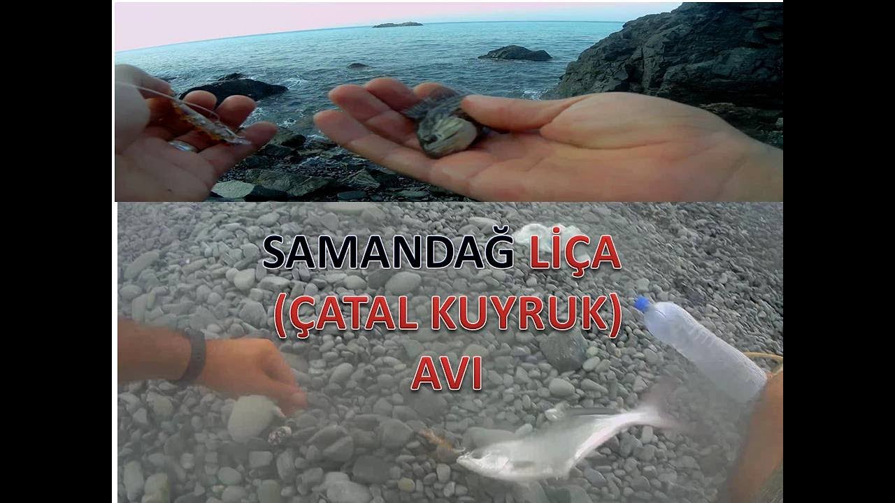LRF Spin ile Samandağ Liça (Çatal kuyruk) avı