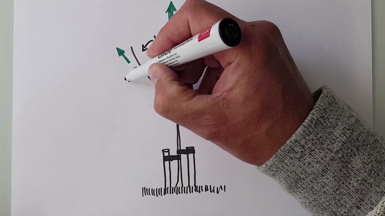 Niet buigen, maar snoeien!