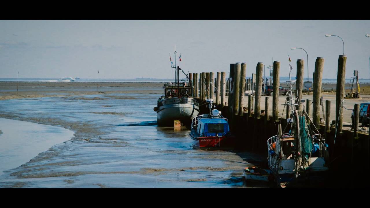 PELLWORM offene Landschaft - Dokworkers Filmproduktion