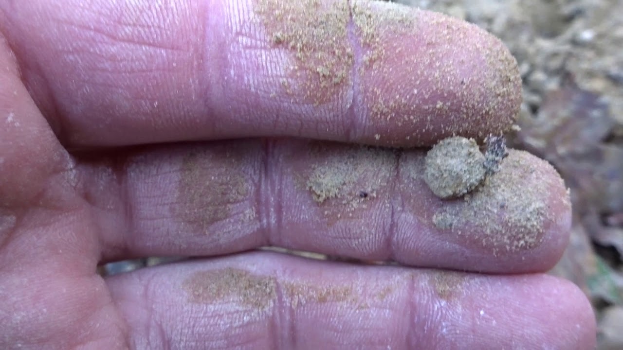 NUMMULITI LA RICERCA   1A  PARTE   DIGGING NUMMULITES !!HD