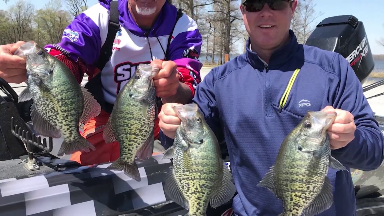 Reelfoot Crappie с Ронни Кэппсом