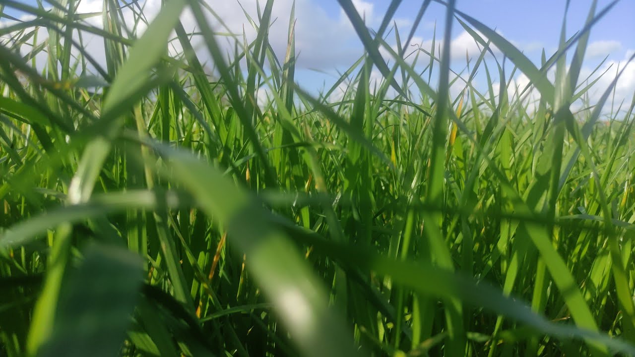 Мартовский влог 🌸 2026г. Германия 