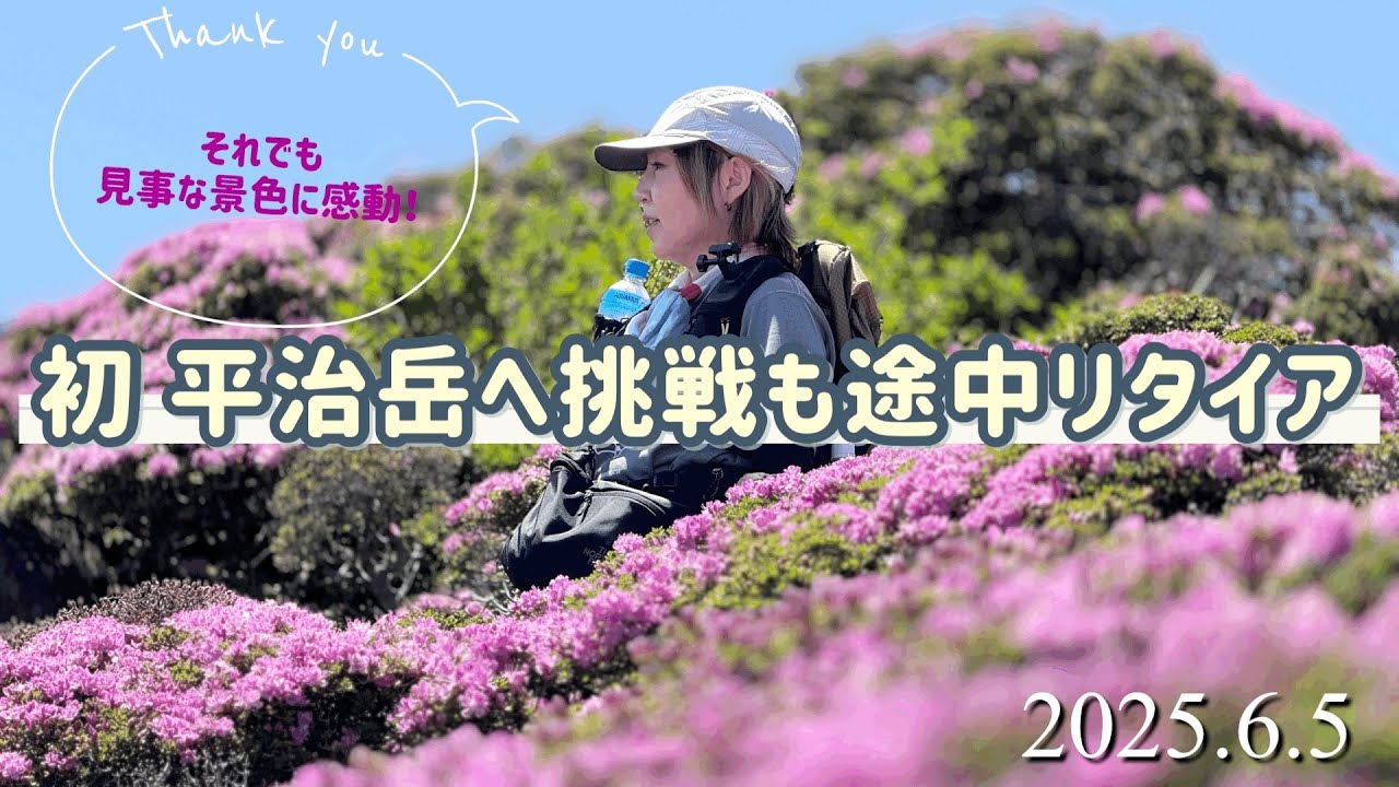 【満開のミヤマキリシマ🌸初平治岳に挑戦！】#登山#くじゅう連山 #登山女子