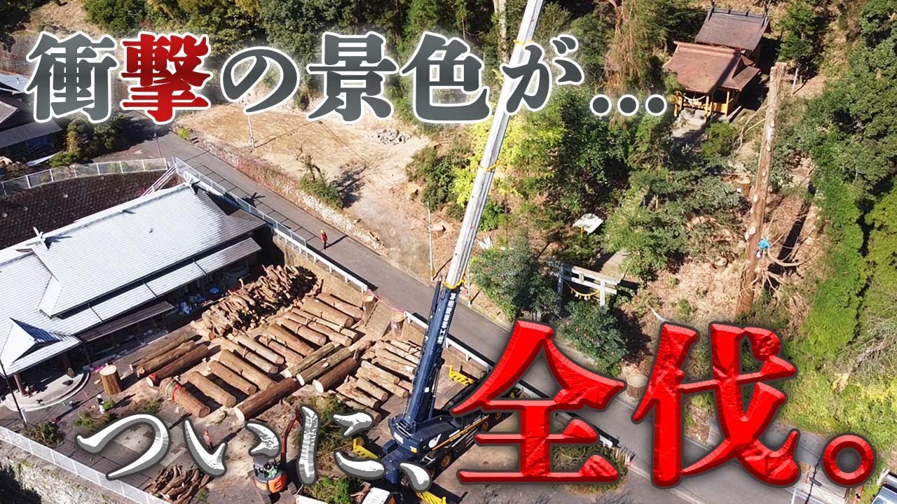 【木と人の物語③】樹齢250年の大木17本、全部伐ったら衝撃の景色が...！｜残り3日間で9本、一気に伐りますin宮崎県諸塚村【特殊伐採】