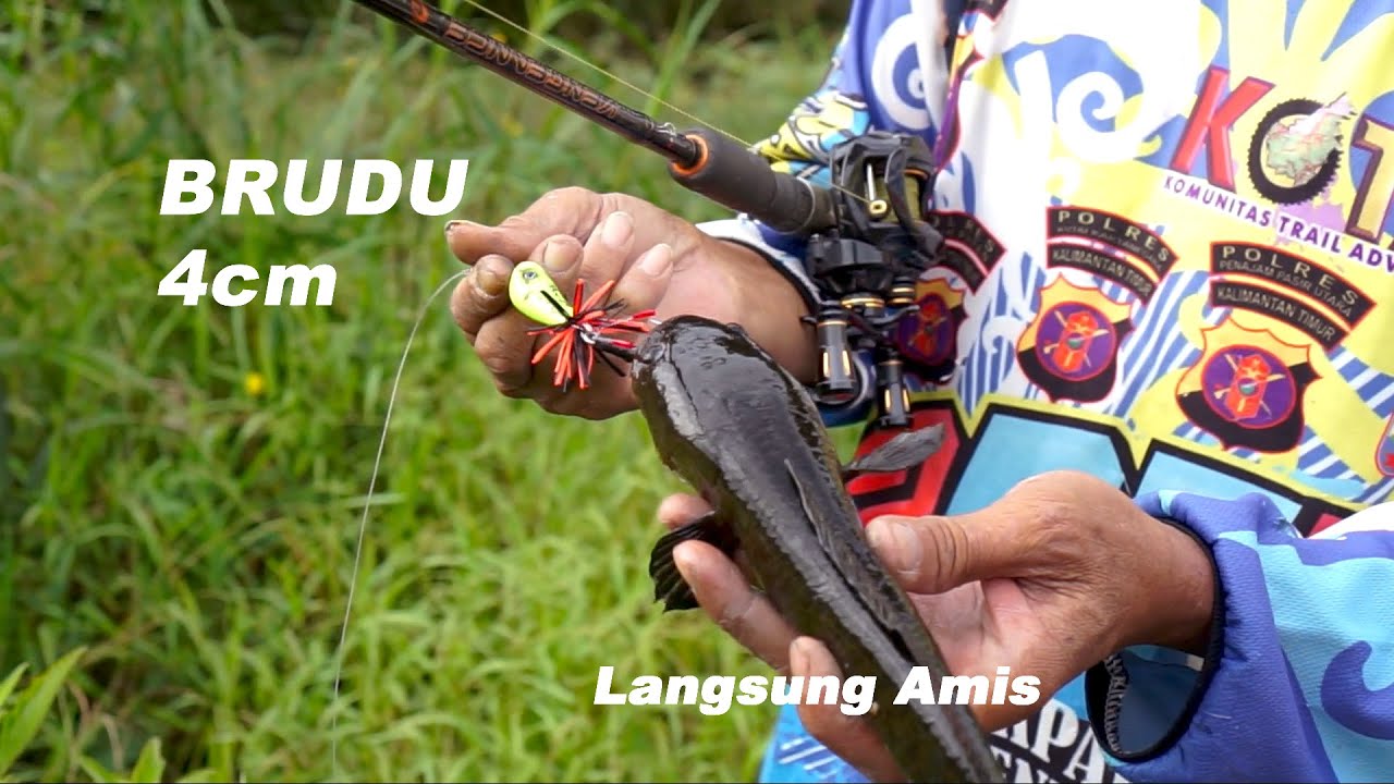 Test Action Lure Brudu 4cm by: Krukut Jf