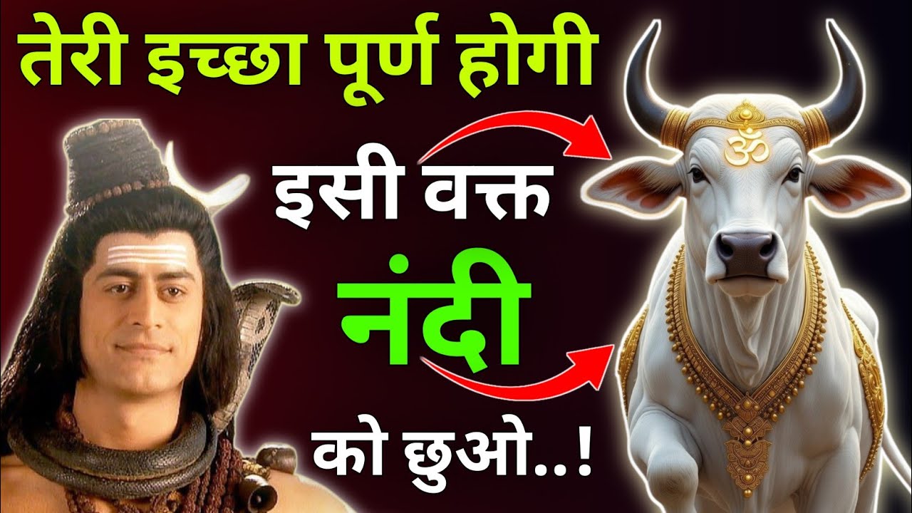 तेरी इच्छा पूर्ण होगी इसी वक्त नंदी को छुओ |Mhadev Updesh |Mhadev Vichar |Mhadev Gyan 