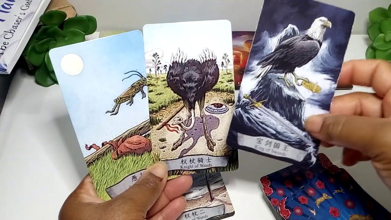 Divine Masculines Under A Love Spell (I Don't Know Why I Love you!)