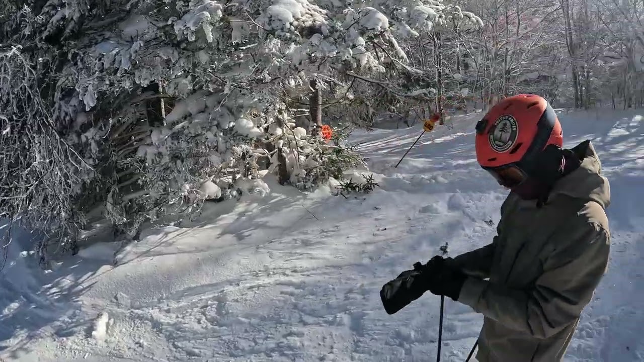 Bolton Feb 13 2026 Run 1