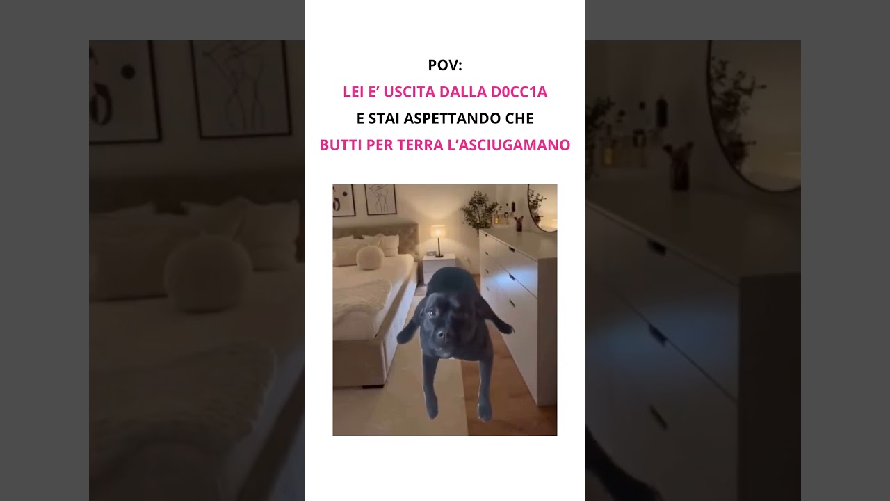tutte le volte che esco dal bagno trovo il mio fidanzato cos&igrave; 😂😂😂😂 #memeita #meme #memeitalia