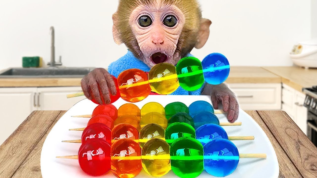 🔴LIVE - Monkey Baby Bon Bon drives a car and plays with puppy and duckling by the track