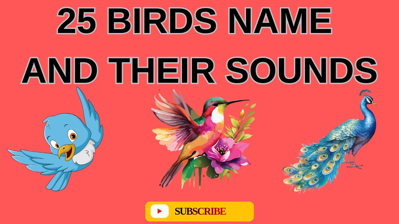 Birds and Their Sounds 🐦 |Birds Sounds for Kids | Kids Learning Video