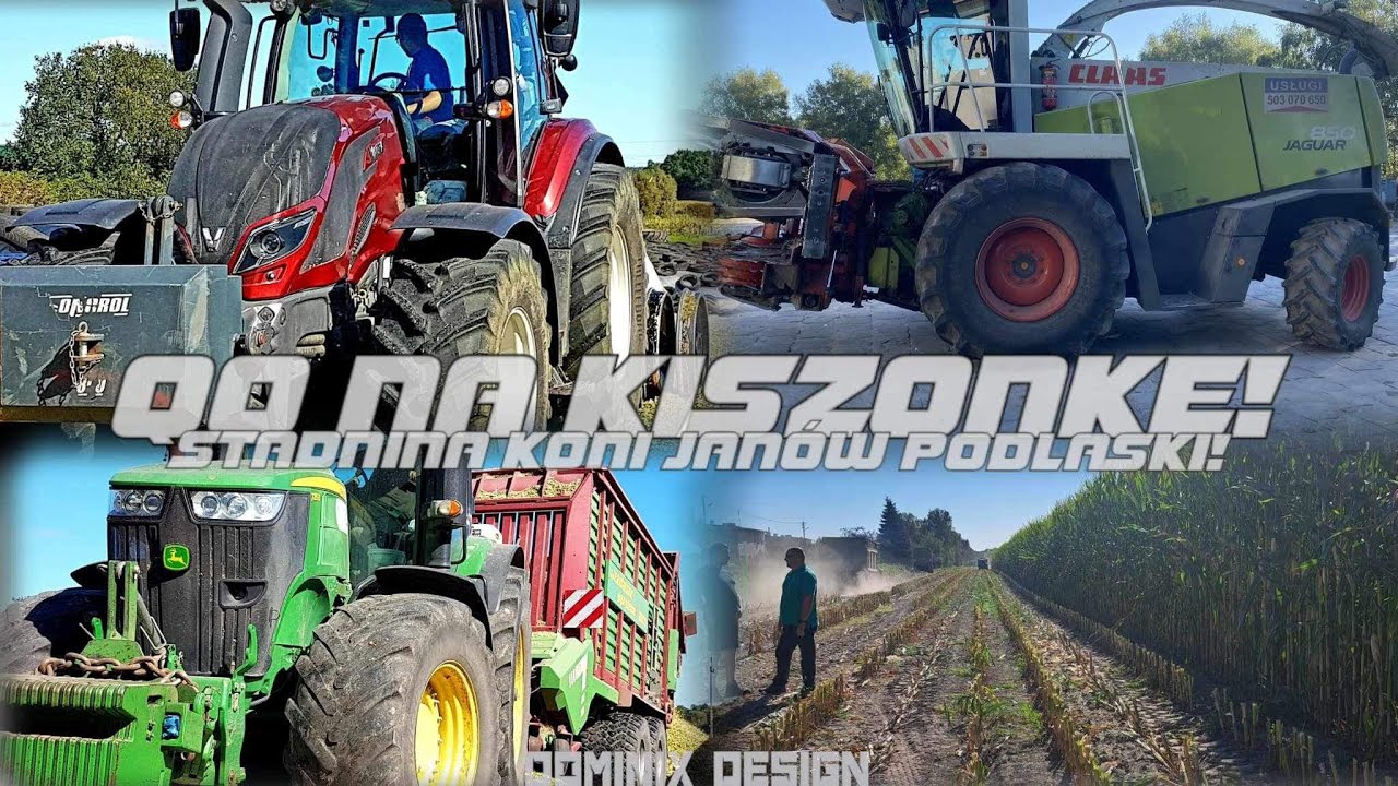 [KISZONKA Z KUKURYDZY 2023]🌽😃(STADNINA KONI JANOW PODLASKI)🔥
