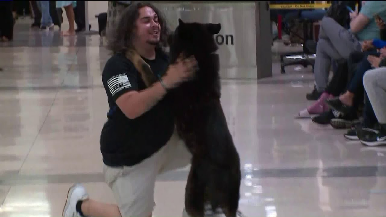 U.S. Marine reunited with military dog after years apart