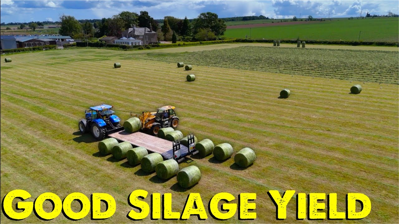 Grass Yields Improved | Silage | Failed Welds