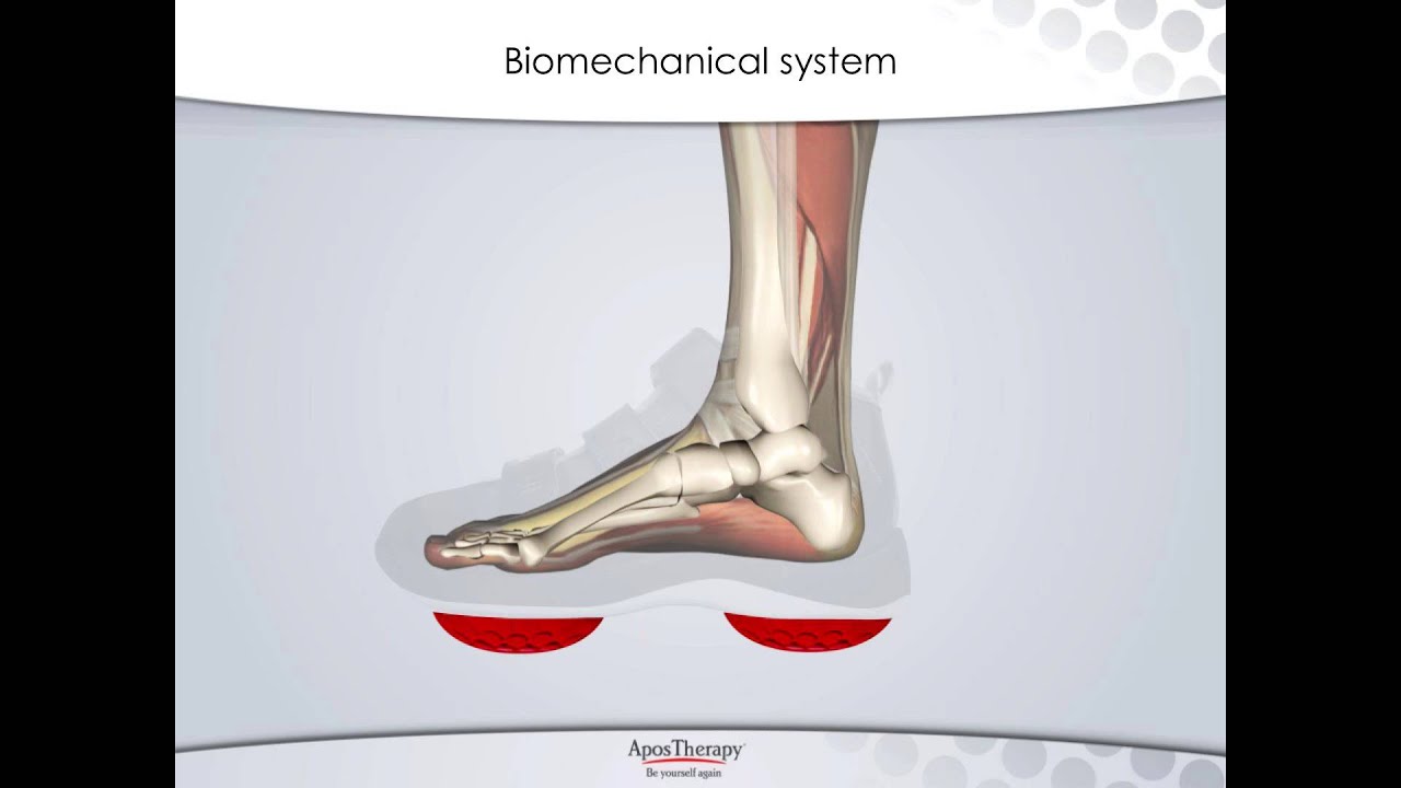 Webinar: The bio-mechanical and neuro muscular factors of knee osteoarthritis