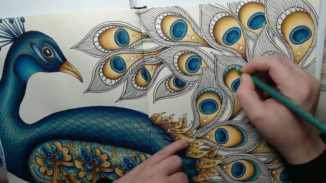 Speed coloring Paon - Hanna Karlzon - Daydreams