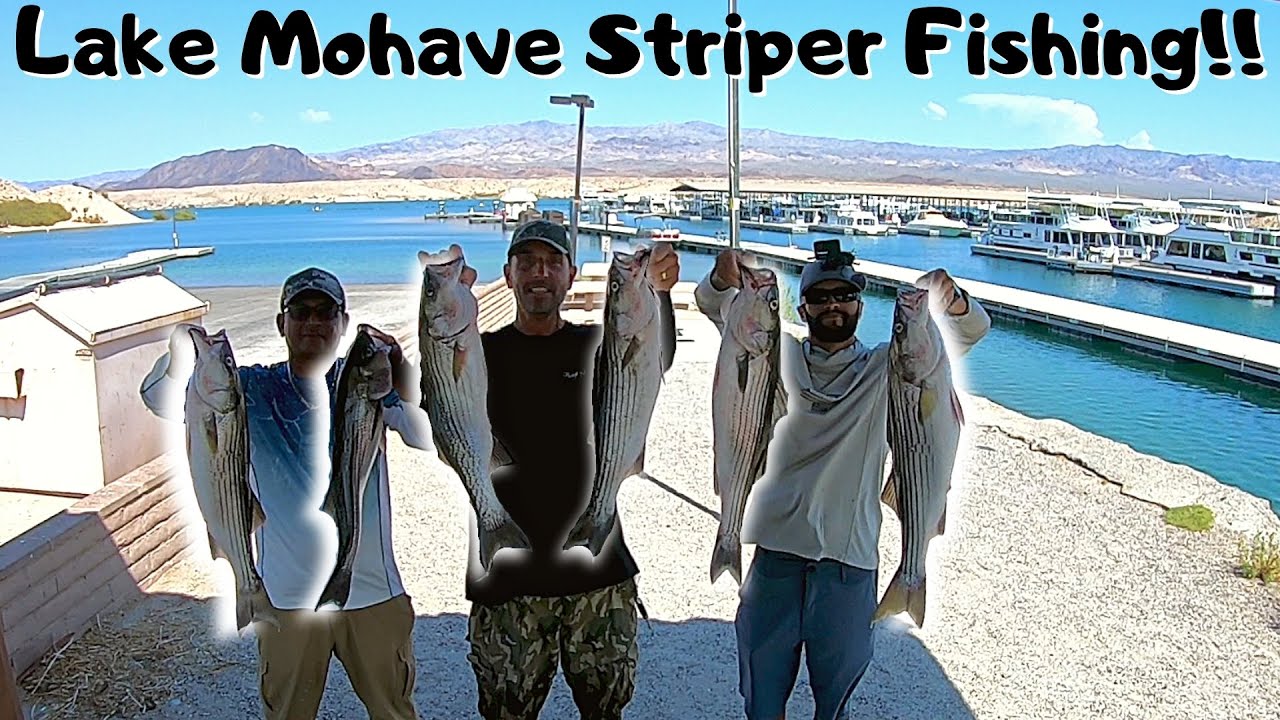 Lake Mohave Striper Fishing! (DEEP TROLLING) Plus BONUS Footage!!!