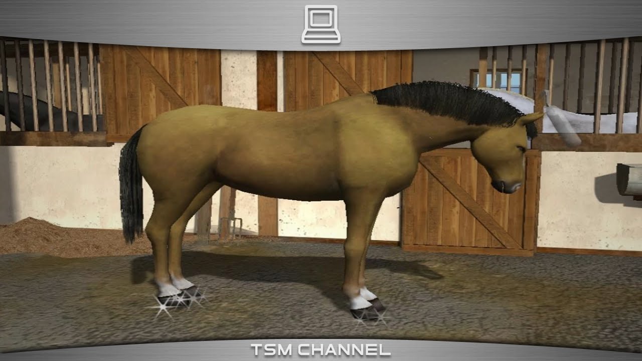 Let's Ride! Riding Star / Riding Star 3 (part 8) (Horse Game)