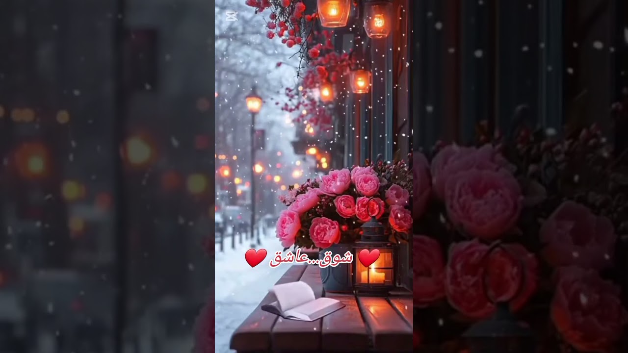 شوق...عاشق