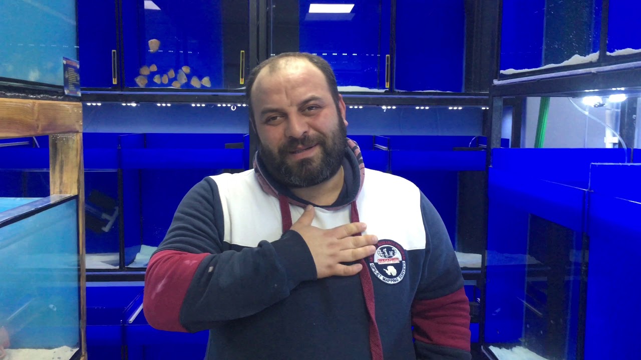 Distrop Dünyasına Baskın Yaptık (Balık üretimhanesi Böyle Olmalı)