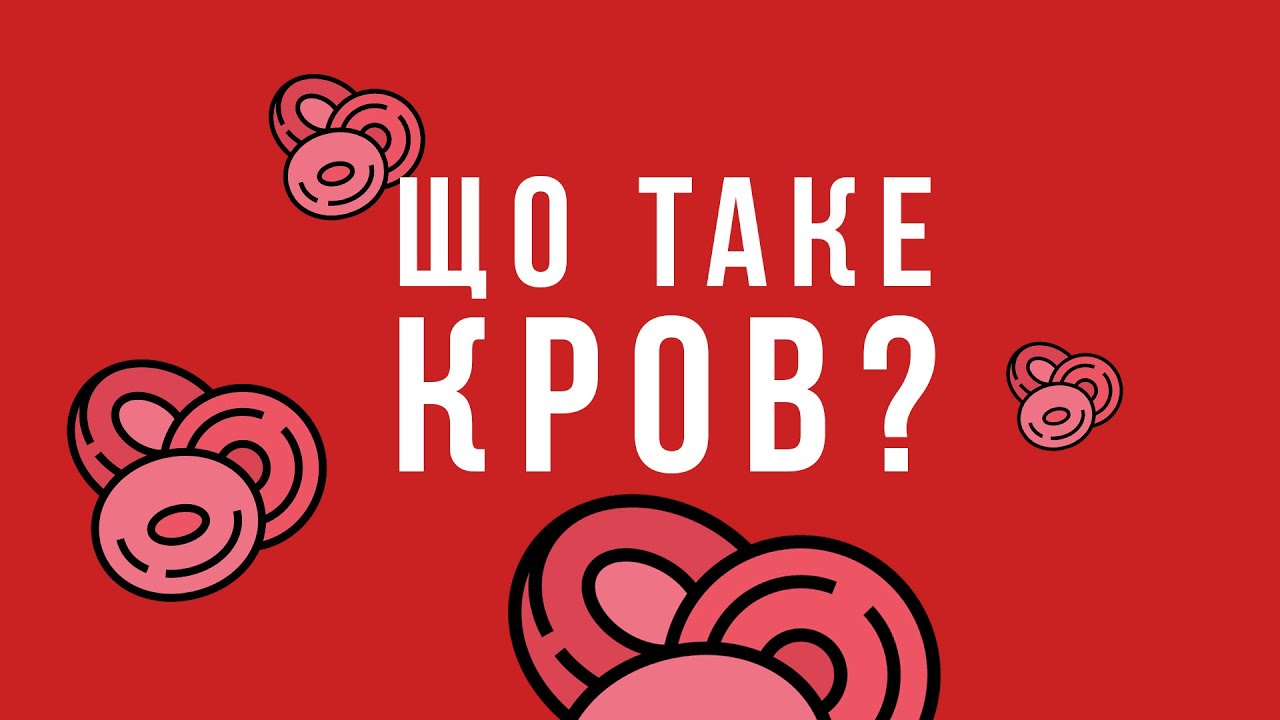 Що таке кров? Яка будова крові та з чого складається кров. Функції крові