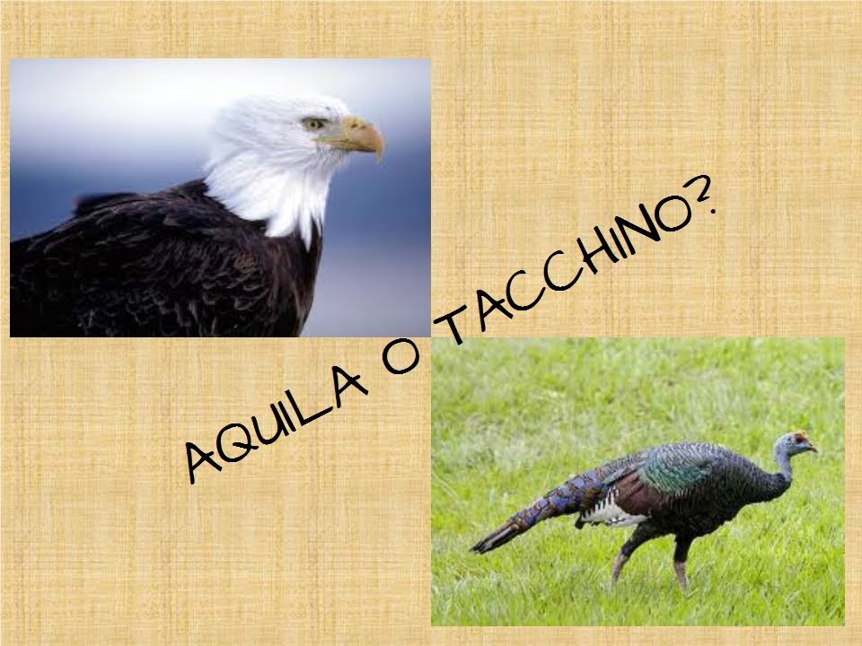 La detersione ecologica (Fabrizio Zago)