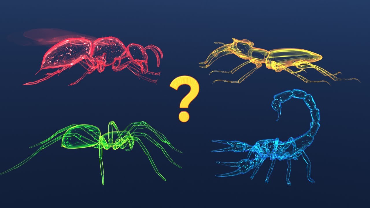🐞🐛 Insects 🦂🐝🦋🐌🐜🦗