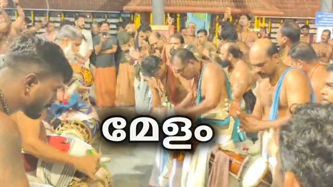 മേളം താളം 👌🙏 #templeshorts #templevideo #melam #chendamelam #elephant #aana #aanapremi #aanakeralam 