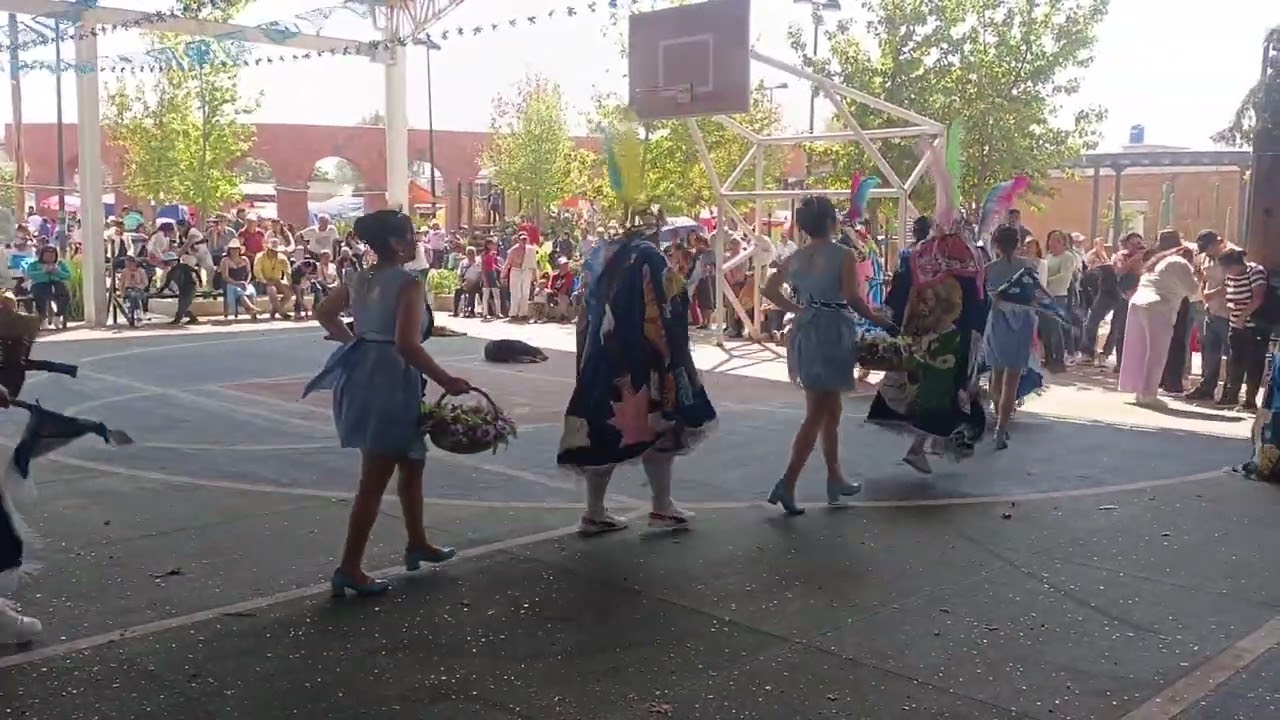 12 Pares de Francia Carnaval 2025, San Mateo Tepopula.