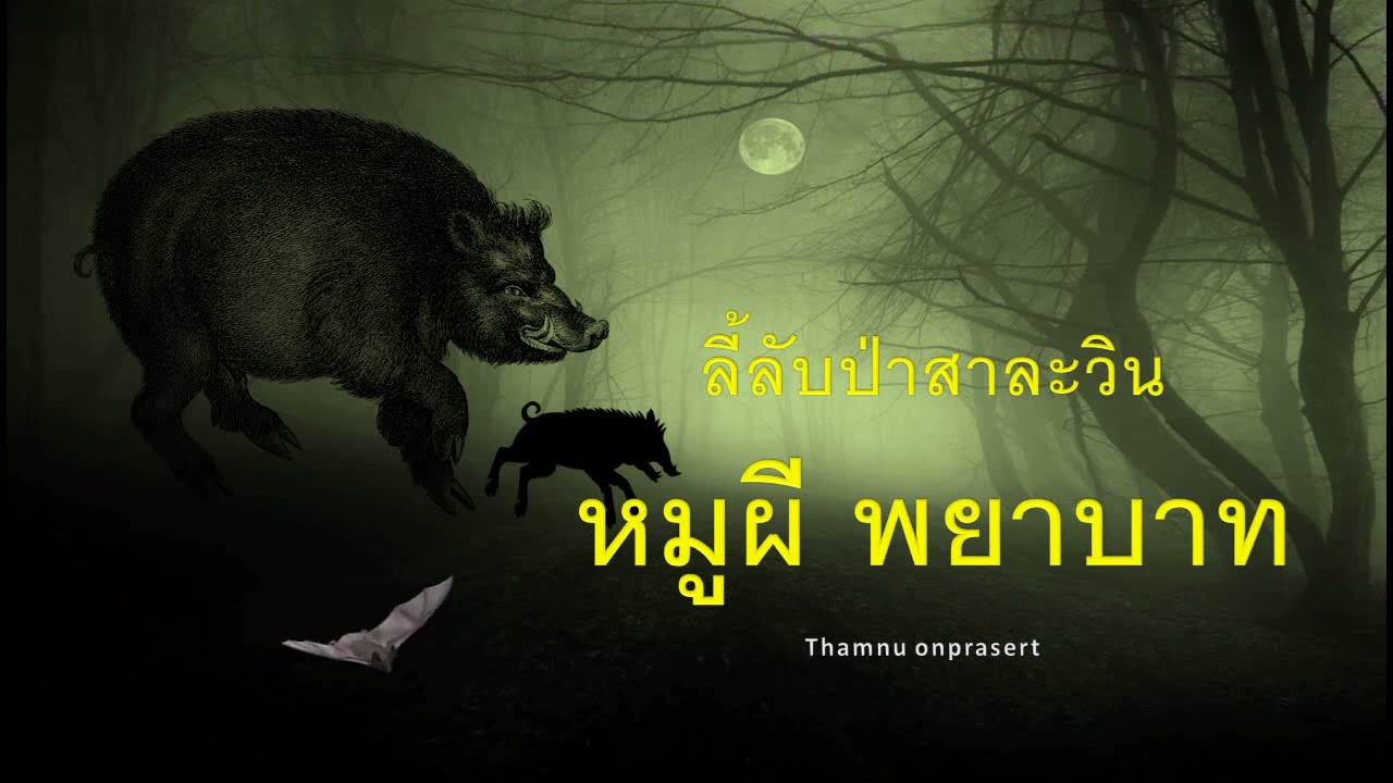 ๙๐.หมูผี..พยาบาท ลี้ลับป่าสาละวิน