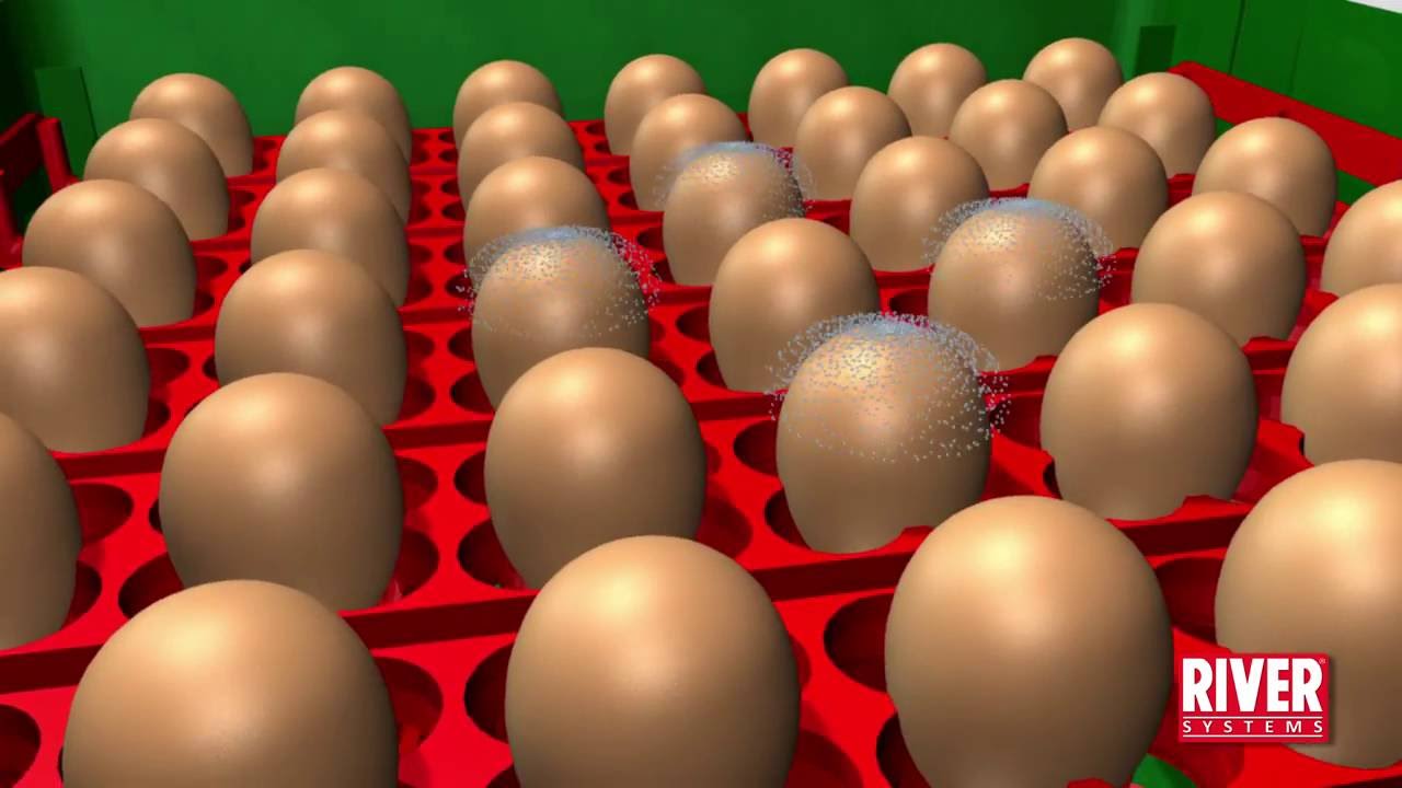 Presentazione e Funzionamento Incubatrici ET | Incubatrici Uova EGGTECH - www.riversystems.it
