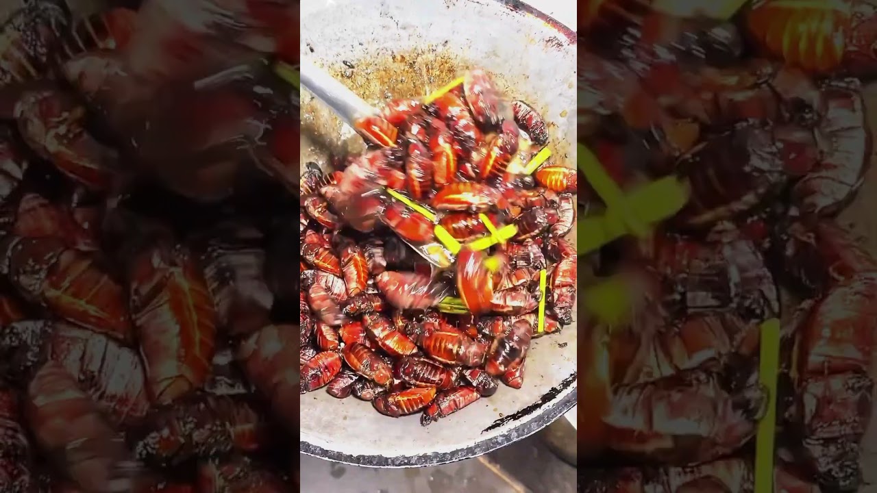 Rosted cockroach! Does anyone eat this meal?