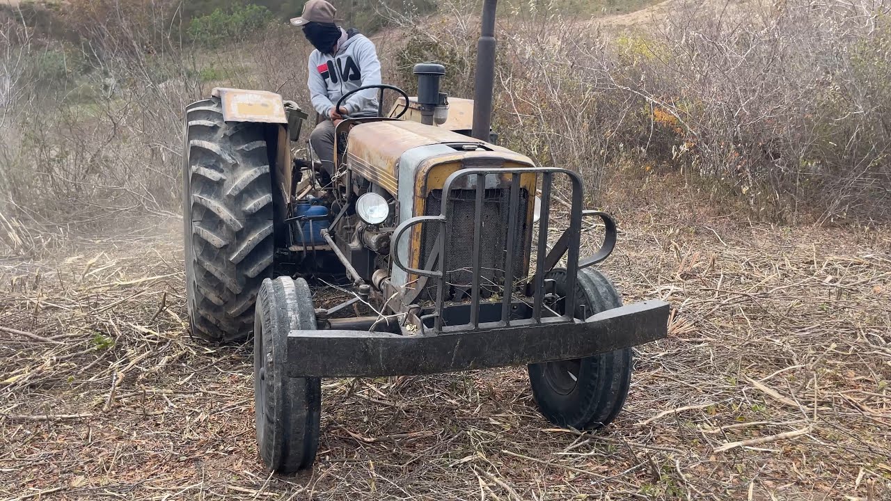 Trator valmet derrubando o mato para o plantio de capim na invernada de 2026