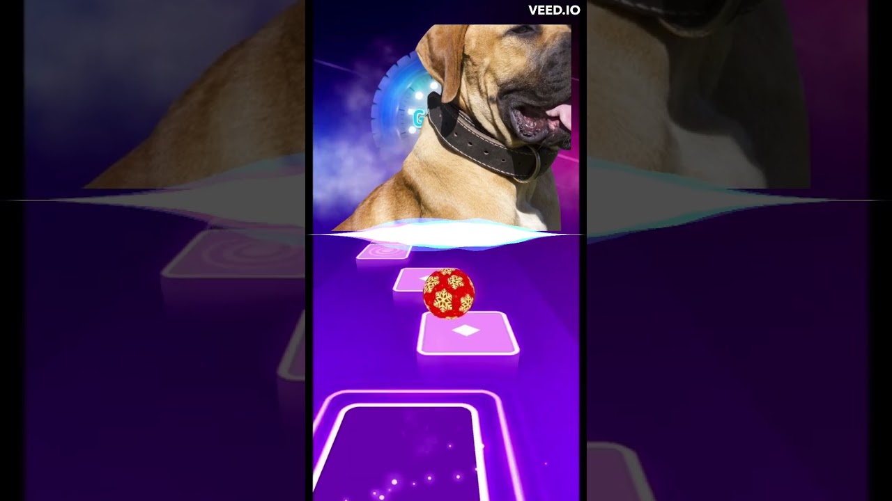 Tiles Hop| Cute Dog 6 