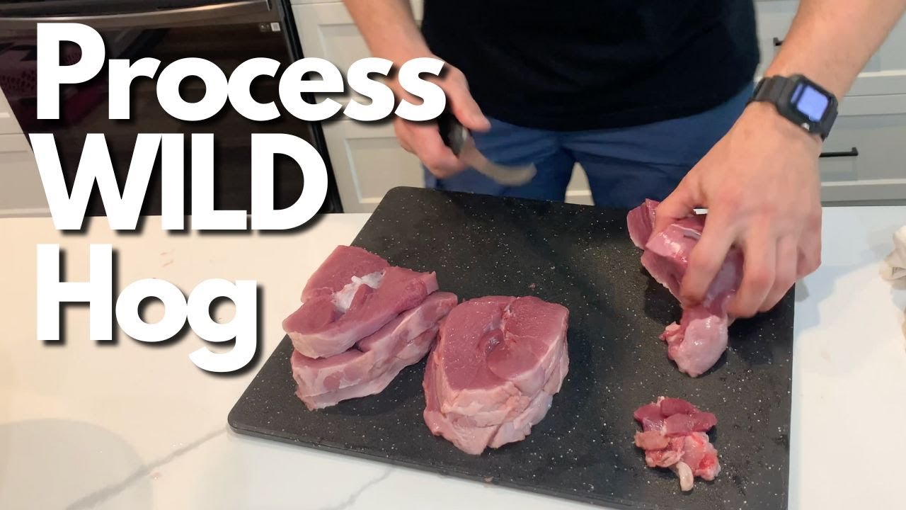 How to process Wild HOG